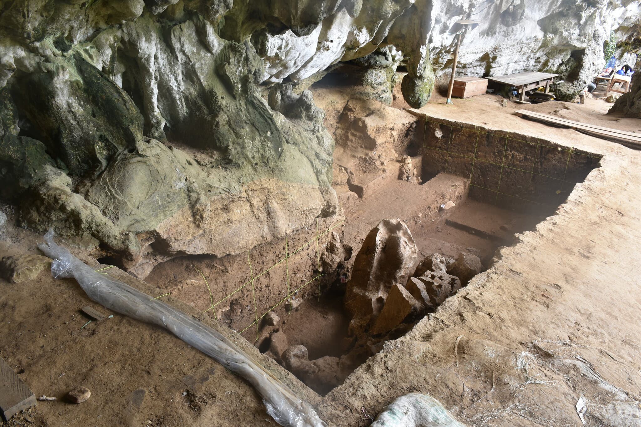 Scientists Discover the Earliest Evidence of Drug Use in Really Old Teeth