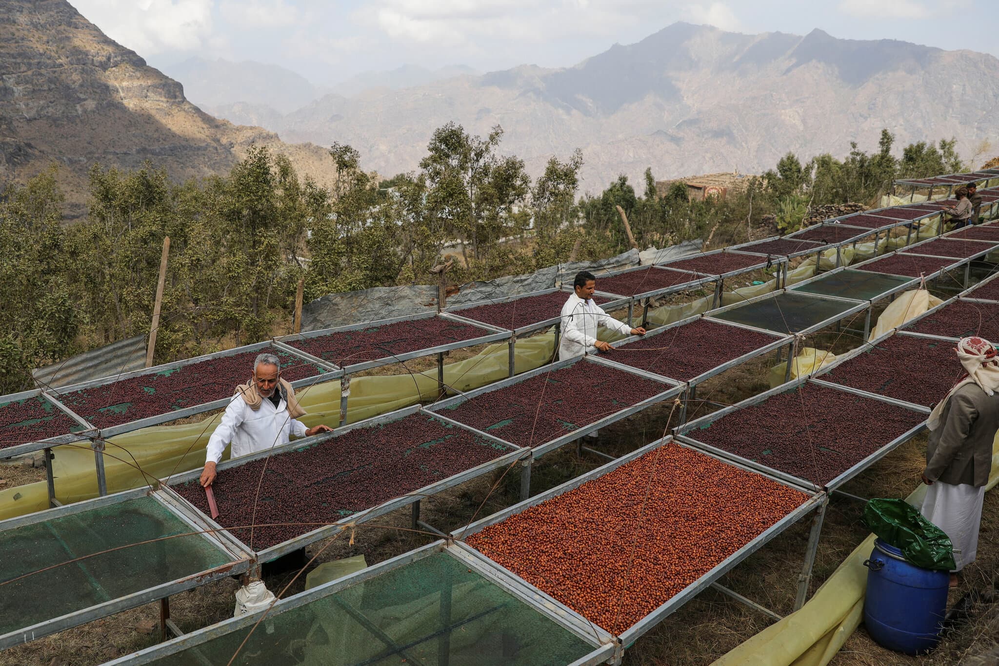 Why Mokha, Historic Port That Shaped the Coffee Trade, Is a Prize in Yemen’s War
