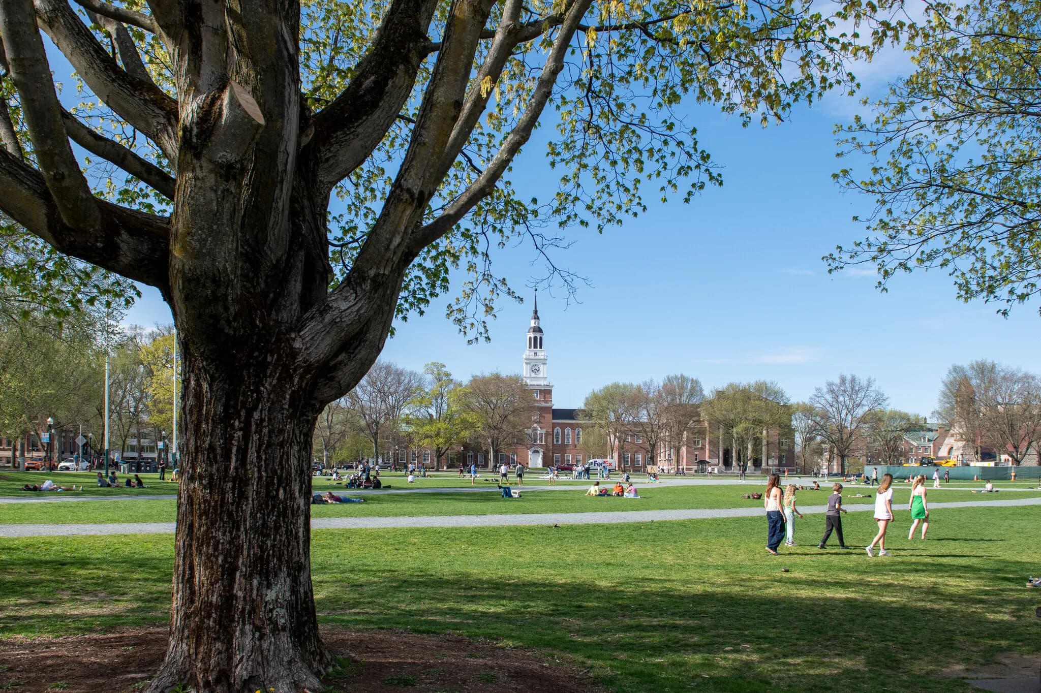 College Leaders Are Using A.I. Students Call It Hypocrisy.