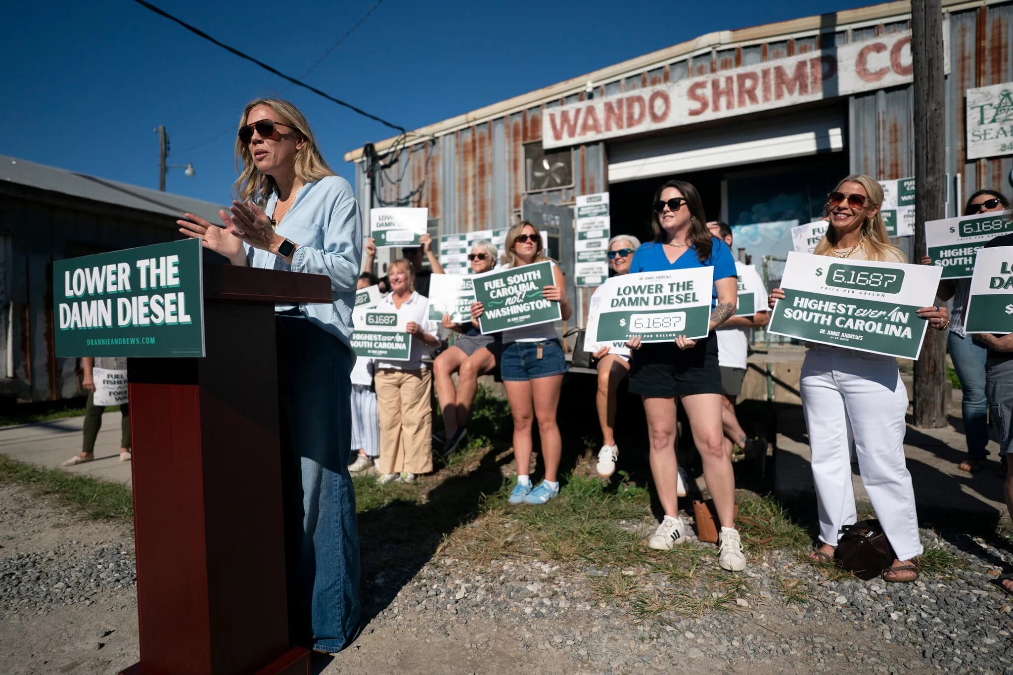 As Democrats’ Midterm Dreams Grow, South Carolina Becomes a Test of the Possible