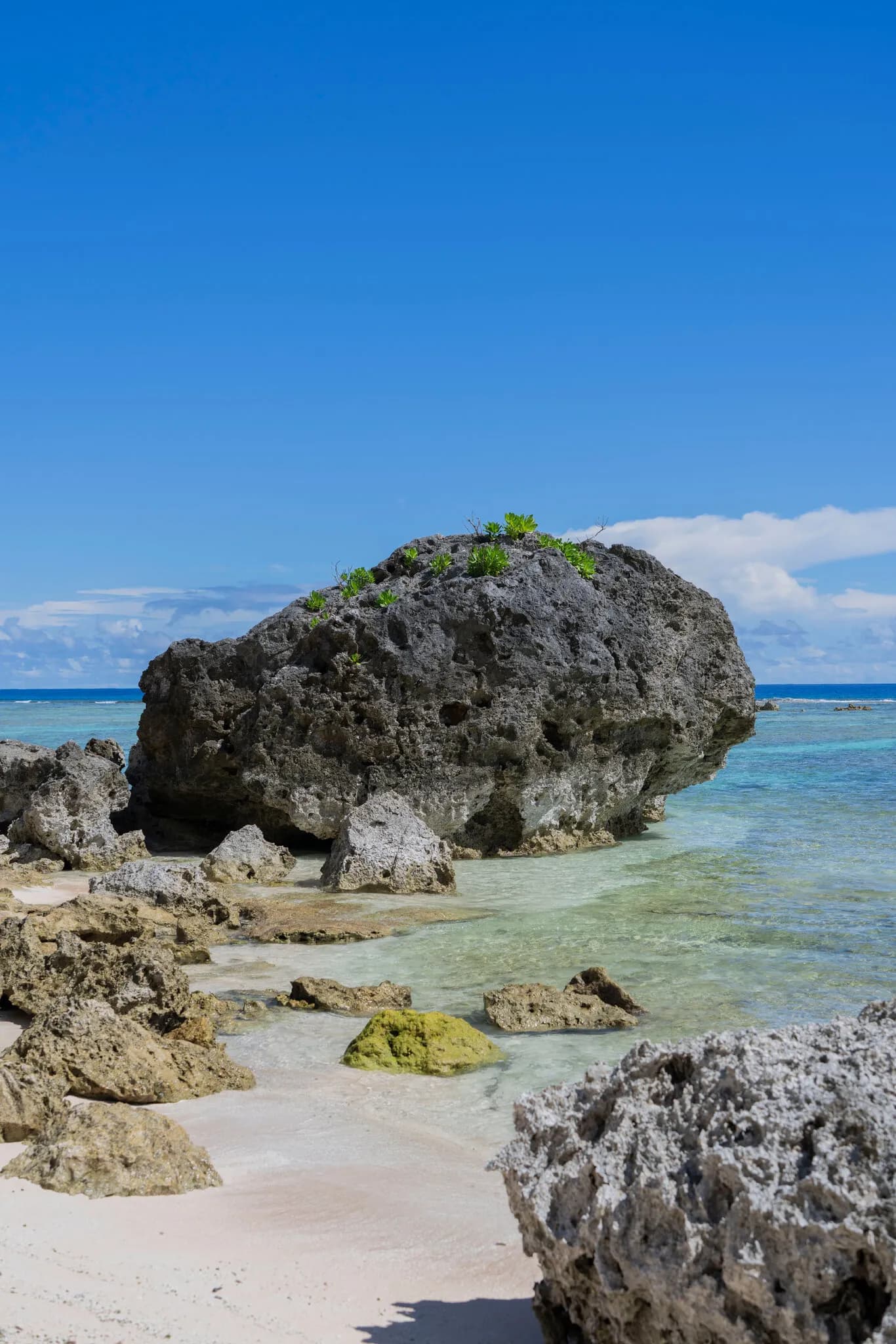 The Military Explodes Bombs on This Beach. Is It Following the Law?