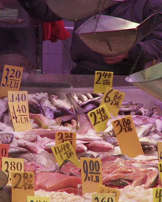 Fish Food