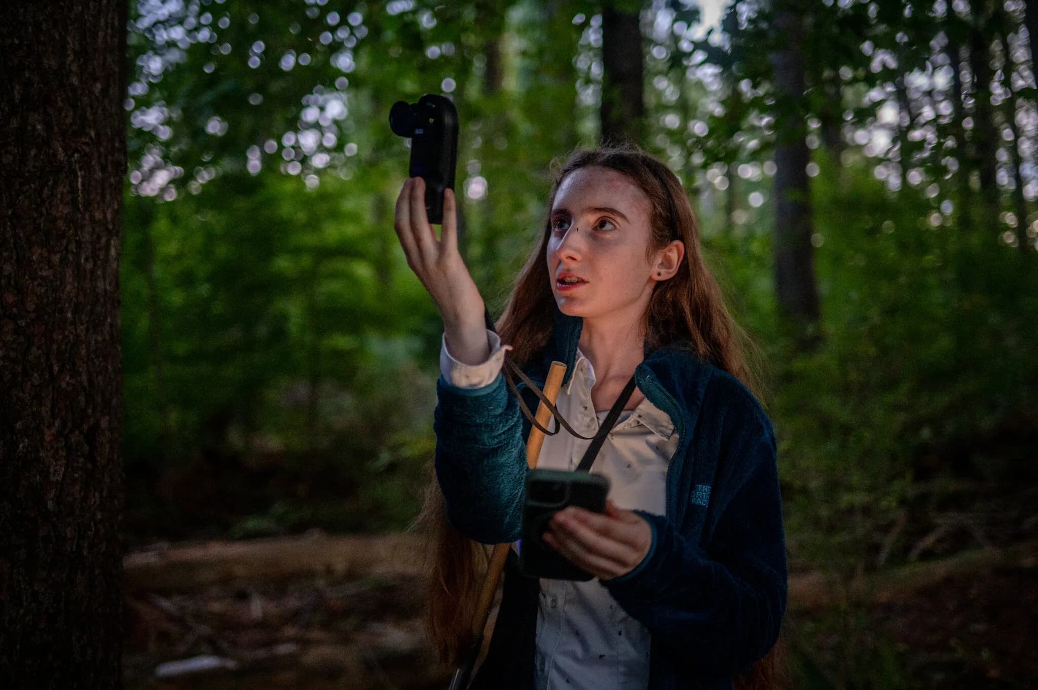 Why Has This Teenager Tracked Down 11,377 Moths Since April?