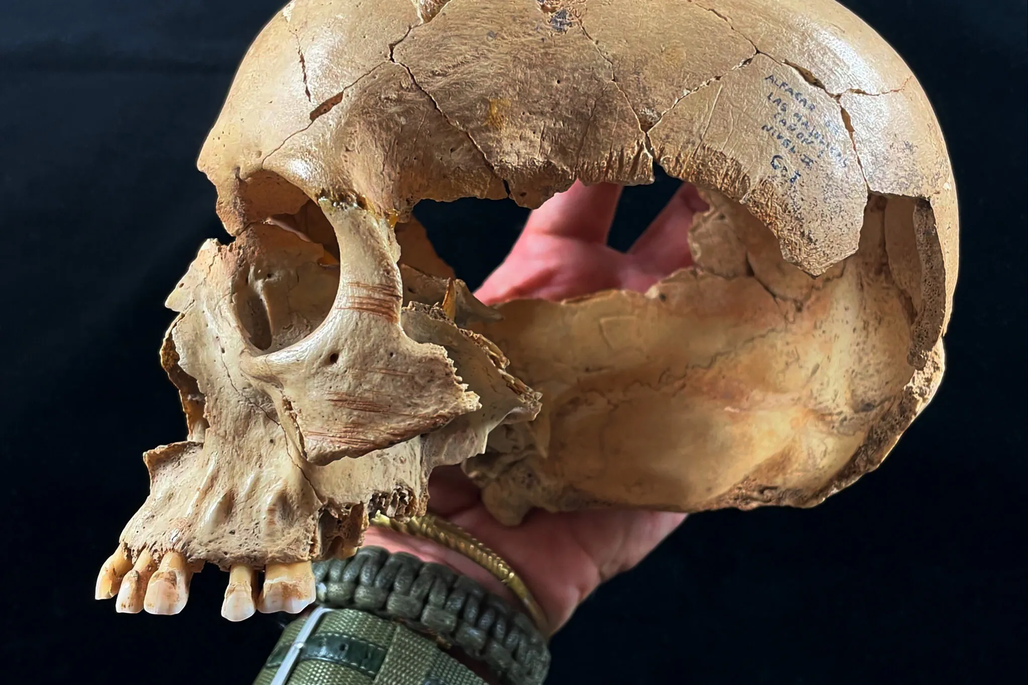 Three Stone Age Caves Reveal Continual Cannibalism