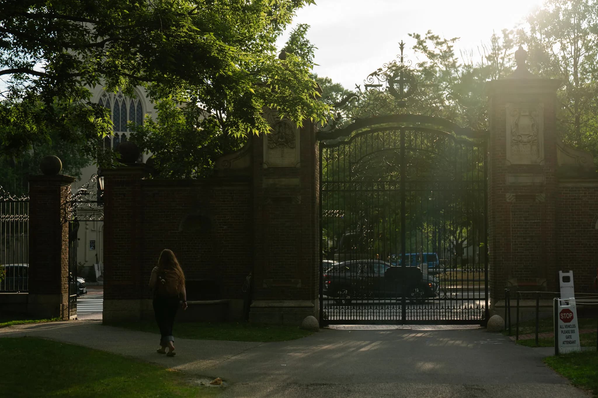 Harvard Endowment Soars to $68 Billion Even as Federal Cuts Force Layoffs