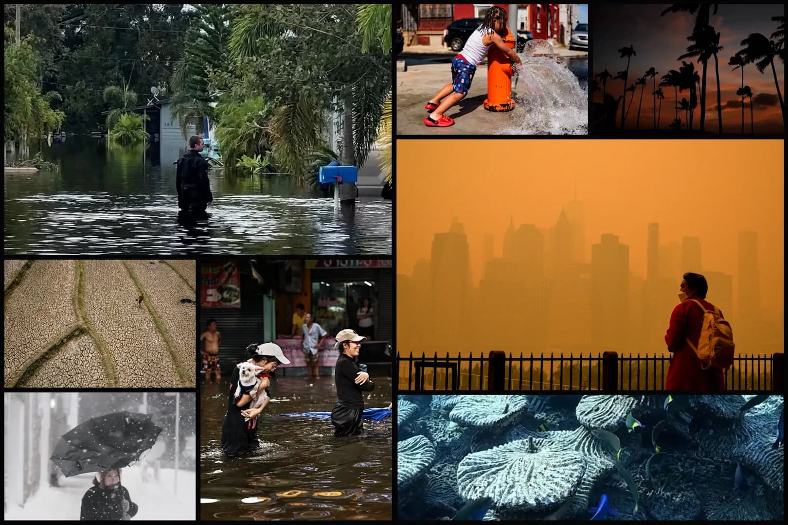 Everything You Could Possibly Want to Know About El Niño